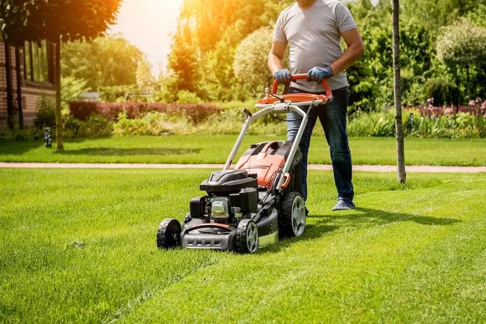 Affordable Gardening Services for Australian Homeowners