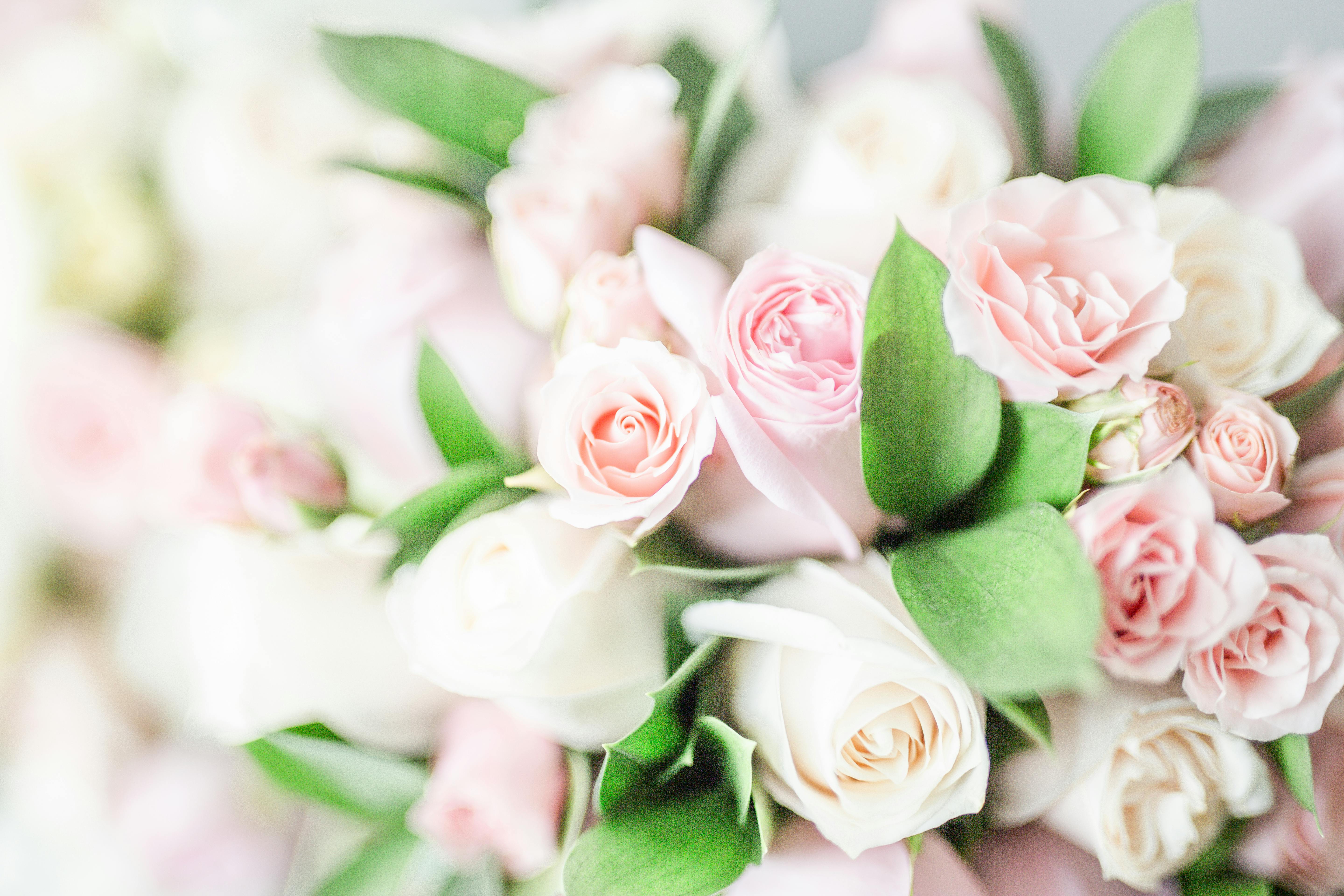 Same Day Flower Delivery Nisku for Beautiful Fresh Bouquets
