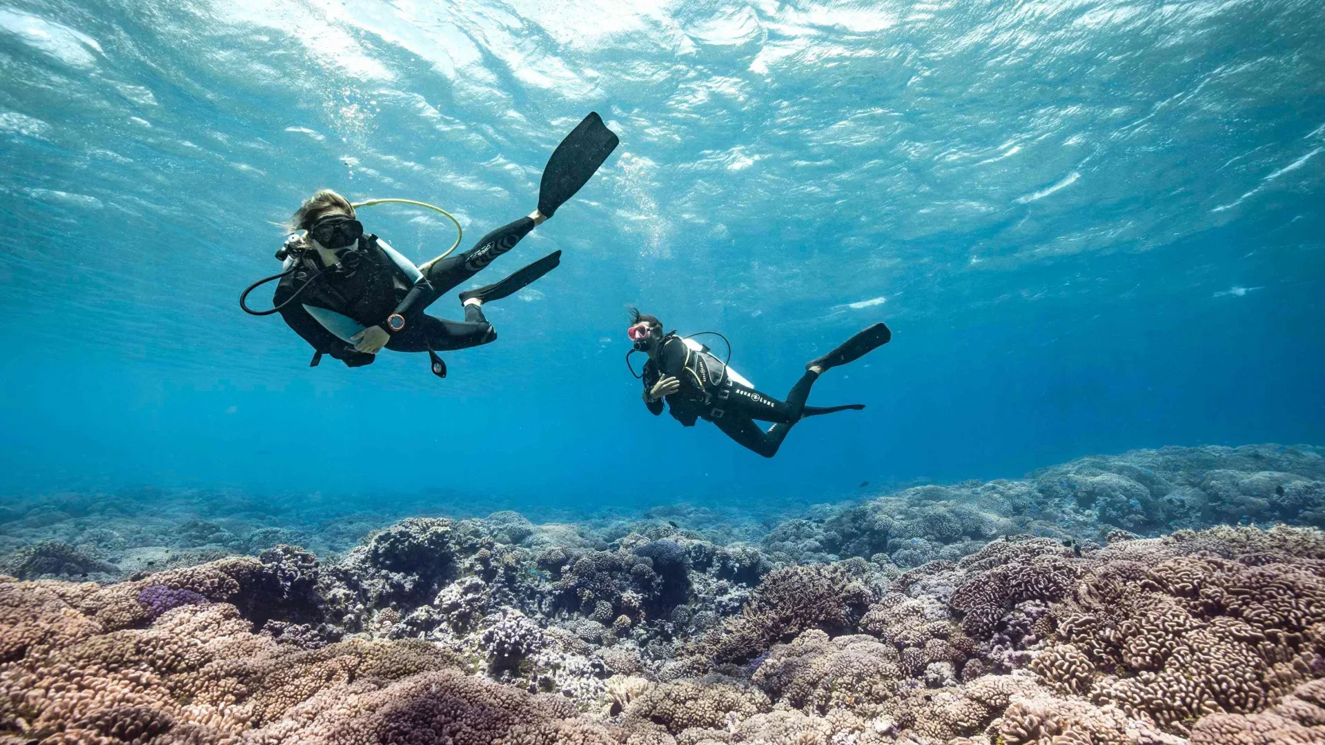 Ethical scuba diving holidays worldwide for conscious ocean explorers