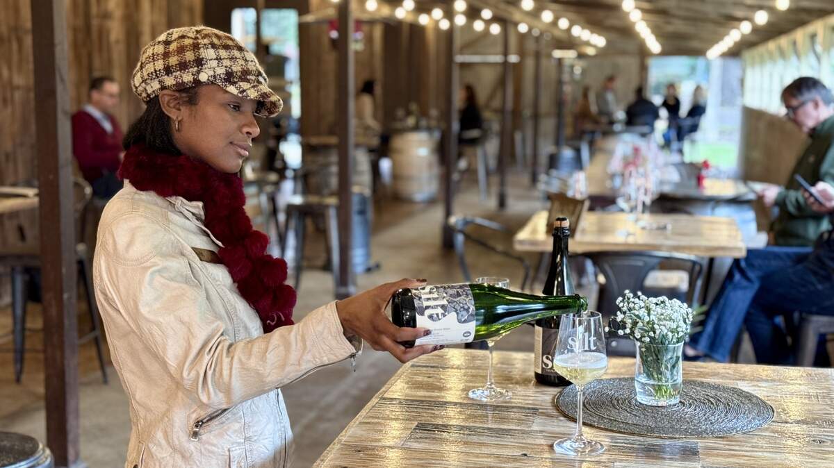 Visit Silt Winery Clarksburg for an Unforgettable Tasting Experience