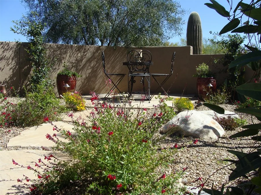 Expert Landscaping Tucson for Stunning Garden Transformations
